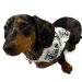 Hobgoblin Dog Bandana 