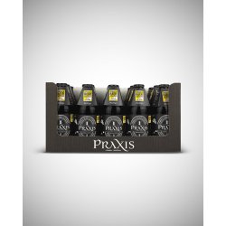 Praxis Imperial Stout Praxis Imperial Stout