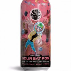 Satélite SourSat P.05 Sour Ale Frutas Vermelhas 473ml - Central da Cerveja