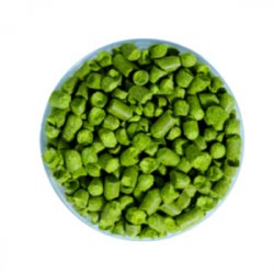 Lúpulo Calypso Hopsteiner 1 Kg - The Craft Drinks Lab