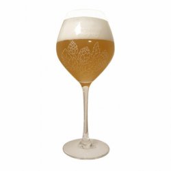 Verre De Sutter 33 cl - RB-and-Beer