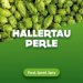 Hop cones Hallertau Perle 5 kg Hop cones Hallertau Perle 5 kg