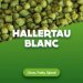 Hop pellets Hallertau Blanc 1 kg Hop pellets Hallertau Blanc 1 kg