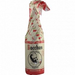 Kasteel Brouwerij Vanhonsebrouck Bacchus Kriekenbier - Dokter Bier