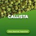 Hop pellets Callista 5 kg Hop pellets Callista 5 kg