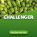 Hop cones Challenger 1 kg Hop cones Challenger 1 kg