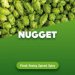 Hops Nugget 2022 4 kg Hops Nugget 2022 4 kg
