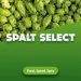 Hop cones Spalt Select 5 kg Hop cones Spalt Select 5 kg