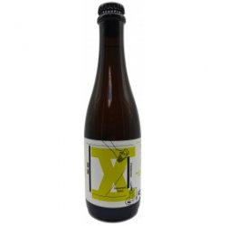 Browar Stu Mostów X Anniversary 10/10 WILD#30