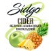 Сидр фруктовый СидгоЯблочно-Ананасовый 20л. ПЭТ полусладкий Сидр фруктовый СидгоЯблочно-Ананасовый 20л. ПЭТ полусладкий