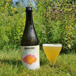 Slowburn Brewing Co-op Seedling ● BA Mixed Fermentation Sour - Slowburn Brewing Co-op