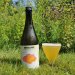 Slowburn Brewing Co-op Seedling ● BA Mixed Fermentation Sour Slowburn Brewing Co-op Seedling ● BA Mixed Fermentation Sour