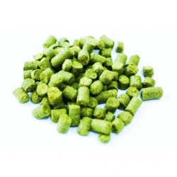 LÚPULO MOTUEKA (2023) 7.9% A.A. - Insumos Cerveceros de Occidente