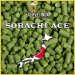Sorachi Ace (pellet) Sorachi Ace (pellet)