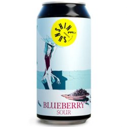 Sunshine Brewery Blueberry Sour 440ml - The Beer Cellar