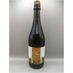 Cydr Chyliczki Bursztynowy Sad 2023