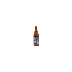 Magic Road It's Only Berliner Weisse 500ml - Funky Fluid