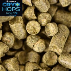 Simcoe Cryo Hops® 2022 - Brew Day