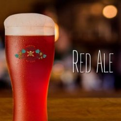 Kit Insumos Completo Red Ale - Pinar Bier