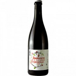 Ammonite Vendange Groseille 2023 – Bière de fermentation spontanée - Find a Bottle