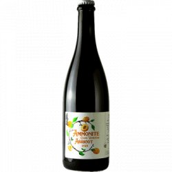 Ammonite Vendange Abricot 2023 – Bière de fermentation spontanée - Find a Bottle