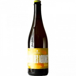 Les Danaïdes Saison des Agrumes – Bière aux zestes de citrons et d’oranges bios de Sicile - Find a Bottle