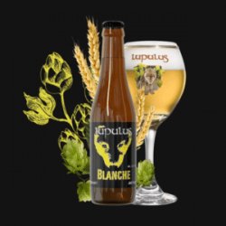 Lupulus Blanche Lupulus Blanche