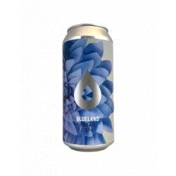 Polly’s - Blueland Pale Ale 44 cl - Bieronomy