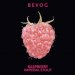 Bevog Imperial Raspberry Stout 0,33l Bevog Imperial Raspberry Stout 0,33l
