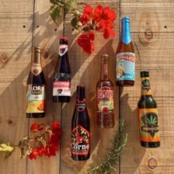 Pack Tipo: Aromatizadas - The Import Beer