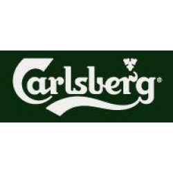 Carlsberg Beer 4 pack 16 oz. Can - Petite Cellars