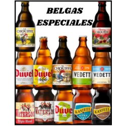 LOTE - BELGAS ESPECIALES Nº 1 - Según Stock 12 Botellas x 33cl - Buscador de Cervezas - Brewhouse