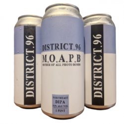 District 96 - Mother Of All Photo Bombs - Little Beershop