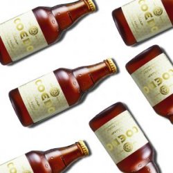 Coedo Shiro 6 Pack - Owlsome Bottles