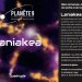 PLANETE 9 Laniakea  0.33L 