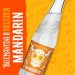 Buenavida Hard Seltzer  Mandarin 