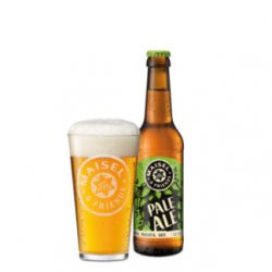 MAISEL & Friends Pale Ale - Birre da Manicomio