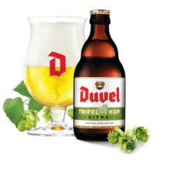 Duvel  Tripel Hop Citra [9% Tripel] - Red Elephant