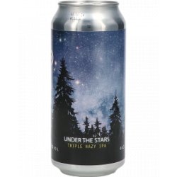 Spartacus Under The Stars Triple Hazy IPA - Drankgigant.nl