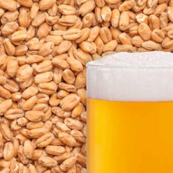 Malte Best Wheat - Cerveja Artesanal