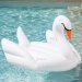 Swan Pool Float 