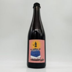 Aslan Blueberry Dojo French Oak-Aged Blueberry Saison 2018 500ml - Bottleworks