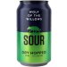 Wolf Of The Willows Sour Dry Hopped 4.2% 24 Pack Cans 355ml 