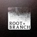 ¥ë¡¼¥È+¥Ö¥é¥ó¥Á ¥¹¥Æ¥Ã¥¡¼ Root+Branch Stickers Dot Gradient - BEER VOLTA ¥ë¡¼¥È+¥Ö¥é¥ó¥Á ¥¹¥Æ¥Ã¥¡¼ Root+Branch Stickers Dot Gradient - BEER VOLTA