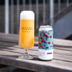 Gamma Brewing x Finback collab Free-Float - ØL2GO