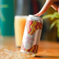 Track Brewing Company Everything Illuminated