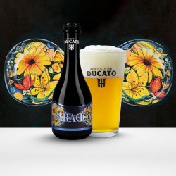 Birrificio del Ducato Paradox - Birrificio del Ducato