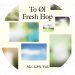 To Øl Fresh Hop 4,8% 20 l KeyKeg 