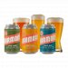 Harmons - Craft Discovery 12 Pack 