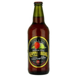 Kopparberg Strawberry and Lime 500ml - Beers of Europe